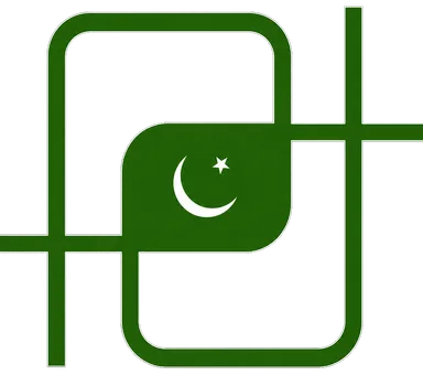 Pakistan Detectors Technology logo